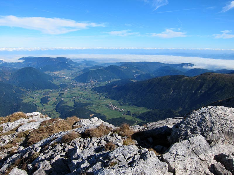 fleischersteig